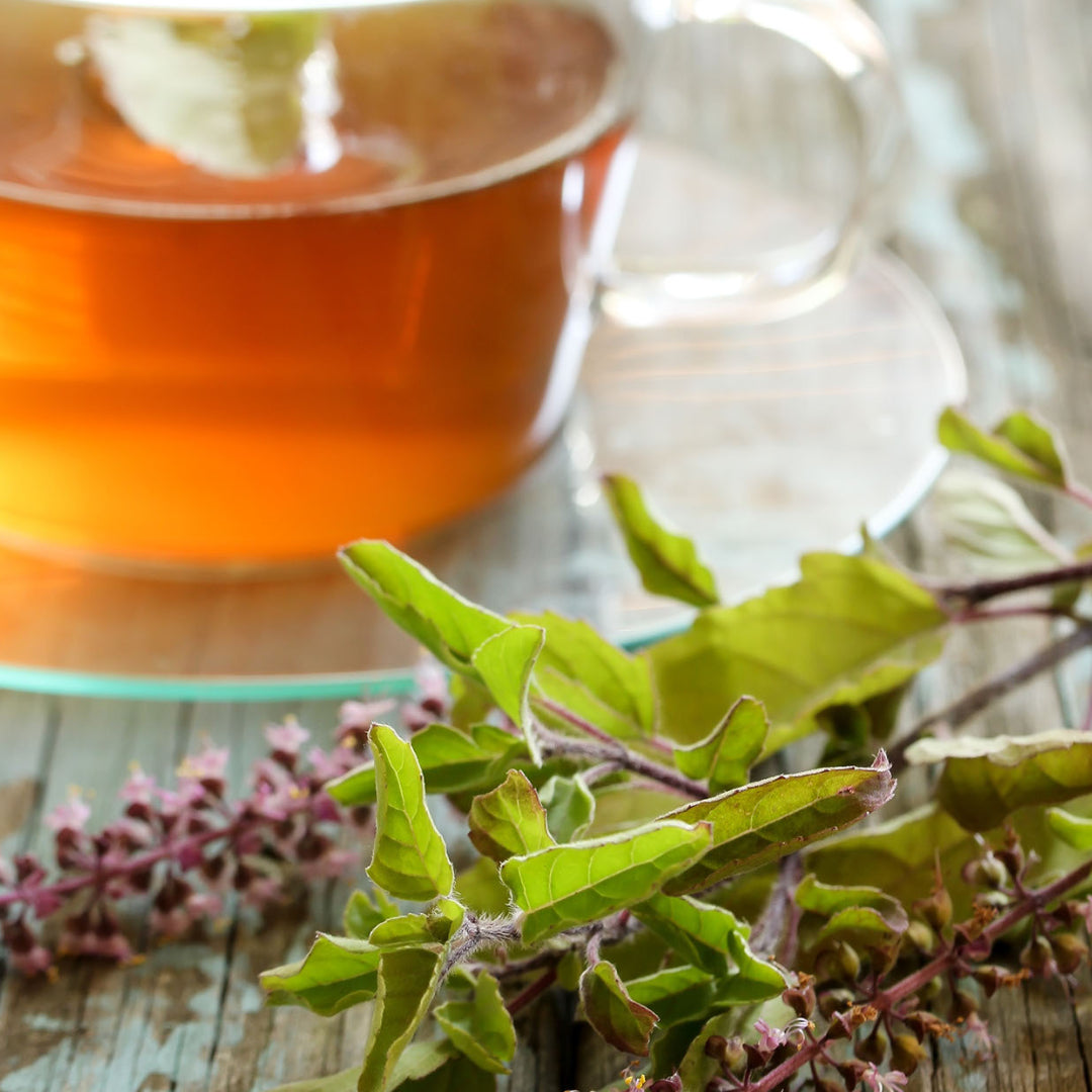 Pure Tulsi Herbal Tea