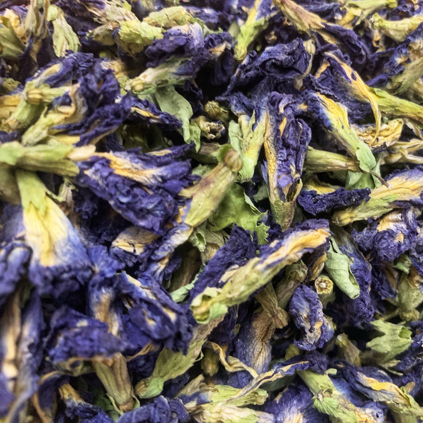 Butterfly Pea flower Tea - Blue Tea