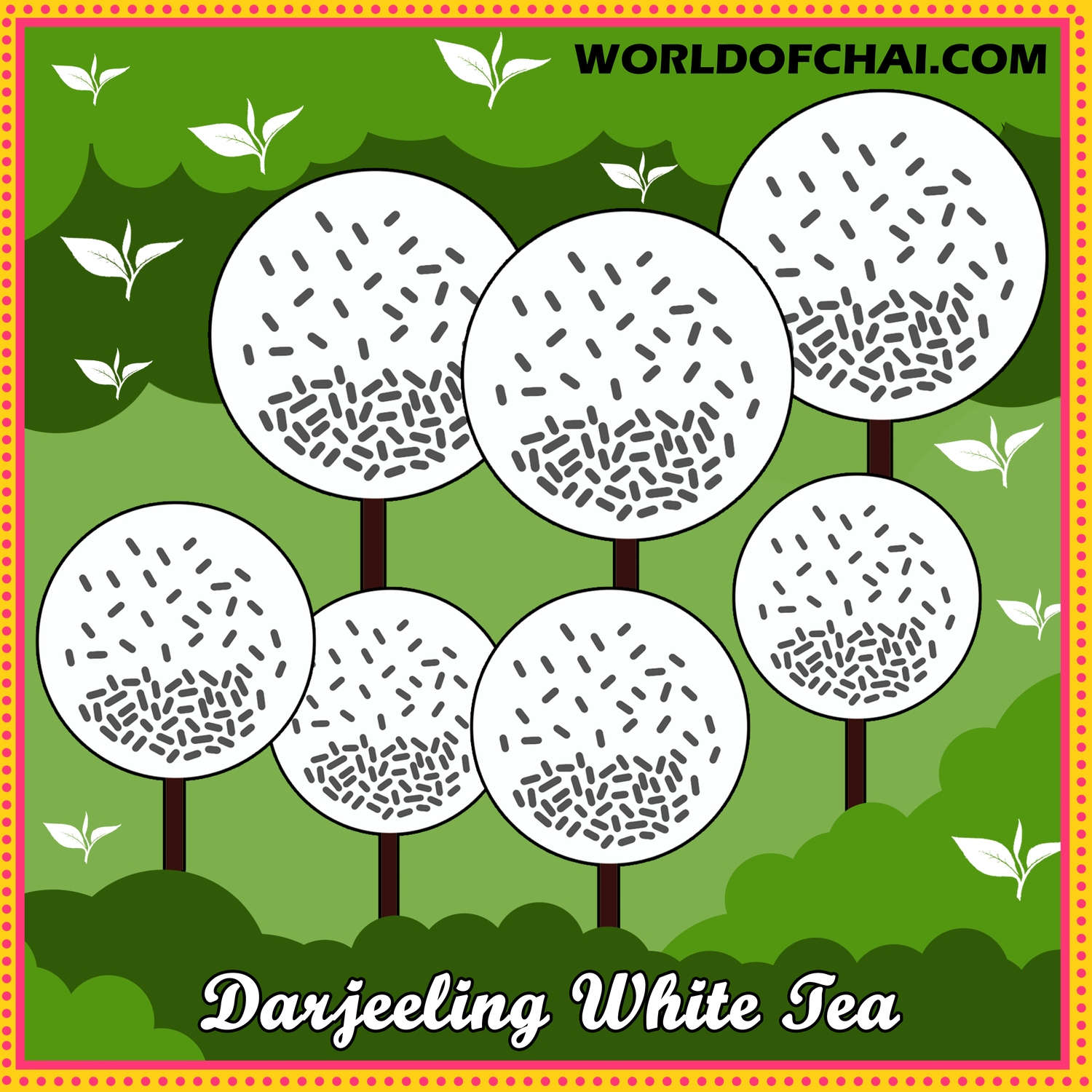 White Tea