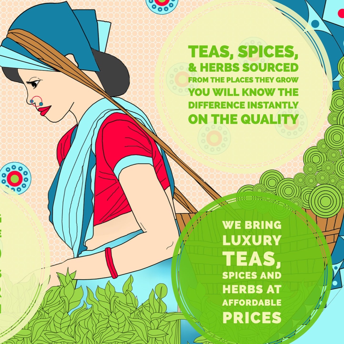 Butterfly Pea flower Tea - Blue Tea, Green Tea with Jasmine